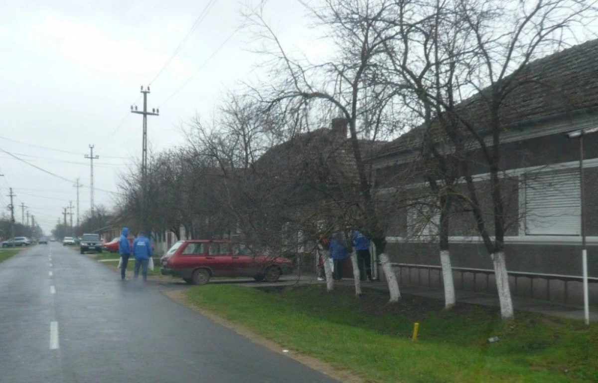 PARTIDUL CONSERVATOR: „DISPERAREA E URIASA IN RANDURILE ACL ARAD“