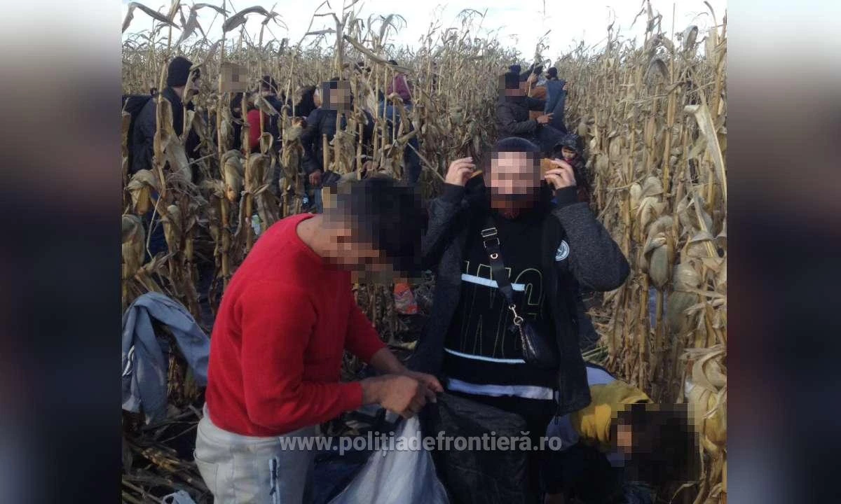 Patruzeci şi şapte de cetăţeni străini, prinși de polițiștii de frontieră arădeni în timp ce încercau să treacă ilegal frontiera