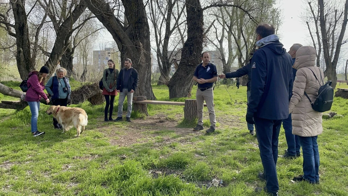 „Pe urmele arborilor remarcabili ai Aradului” – Tur ghidat prin biodiversitatea urbană a Luncii Mureșului