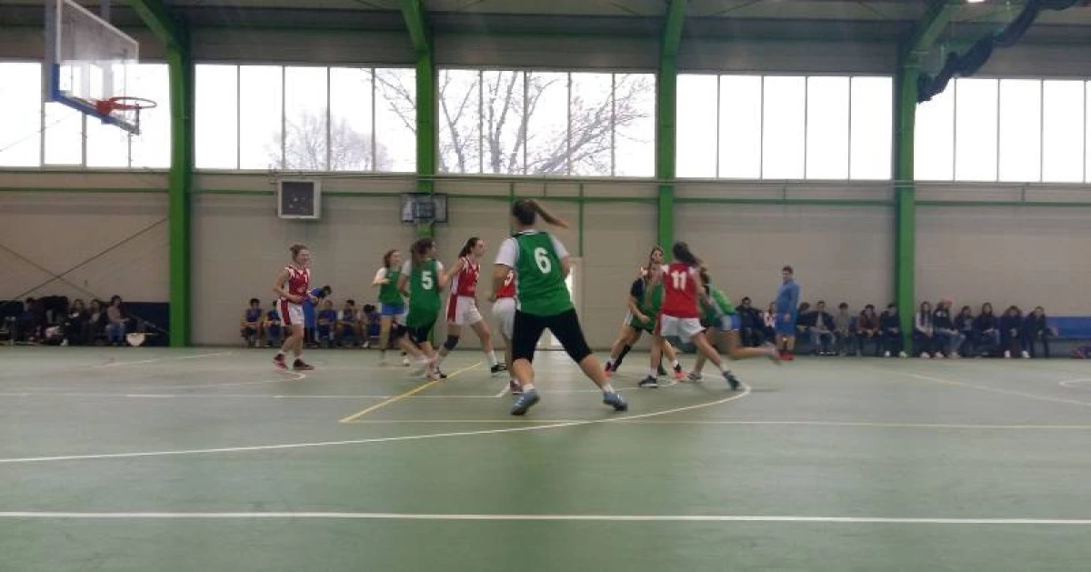 Pedagogic s-a impus în etapa județeană a Olimpiadei Naționale a Sportului Școlar la baschet