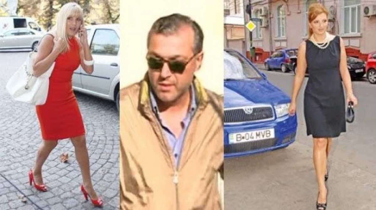 Pedeapsă maximă pentru Elena Udrea și Ioana Băsescu