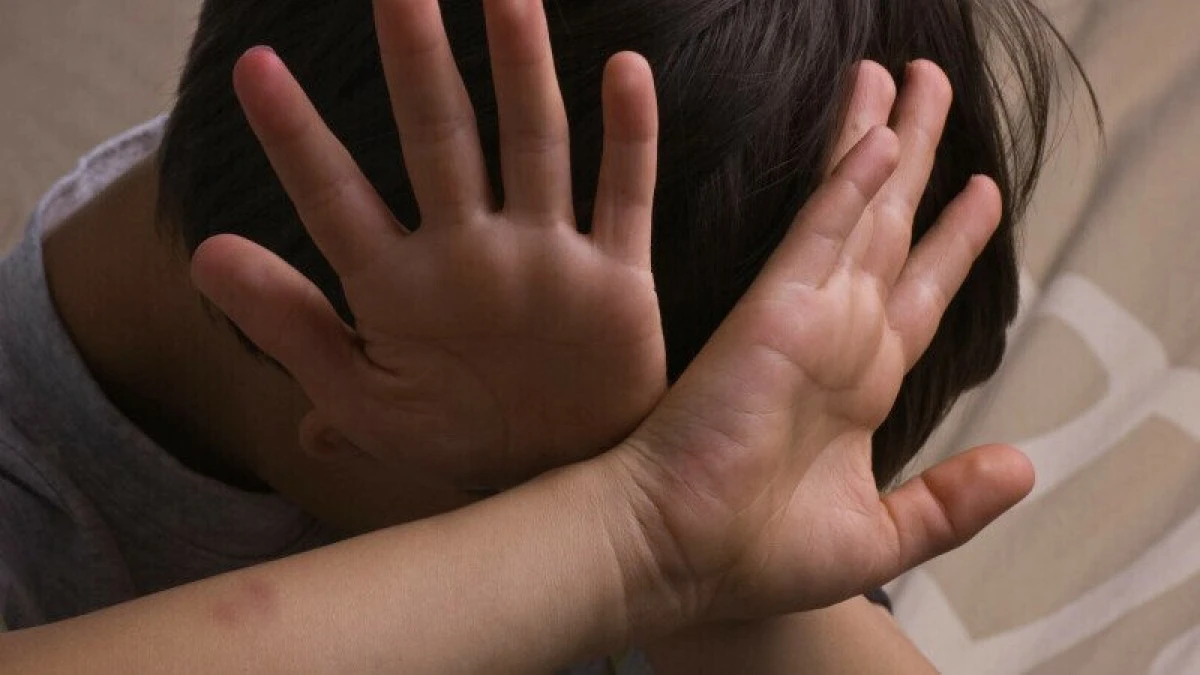 Pedofilul neamț îi abuza pe cei doi copii din Lipova de ani de zile