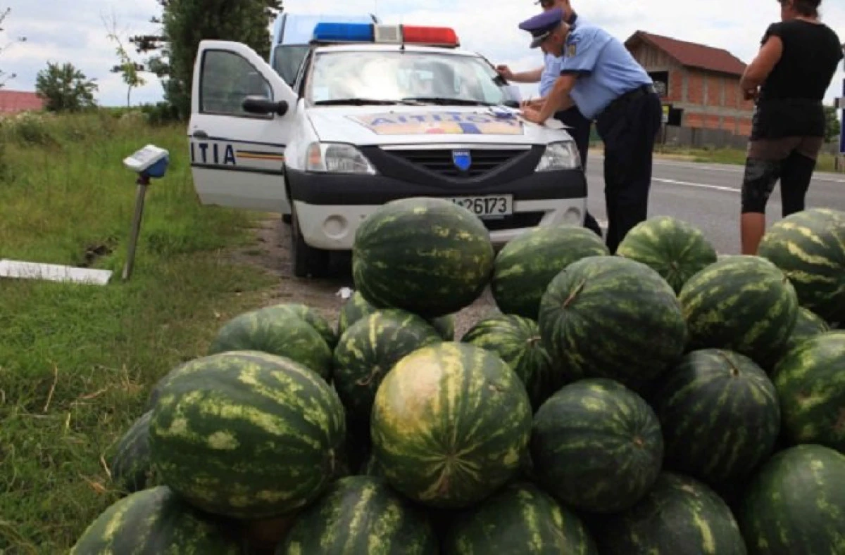 Pepeni fără acte de proveniență, confiscați de polițiștii arădeni
