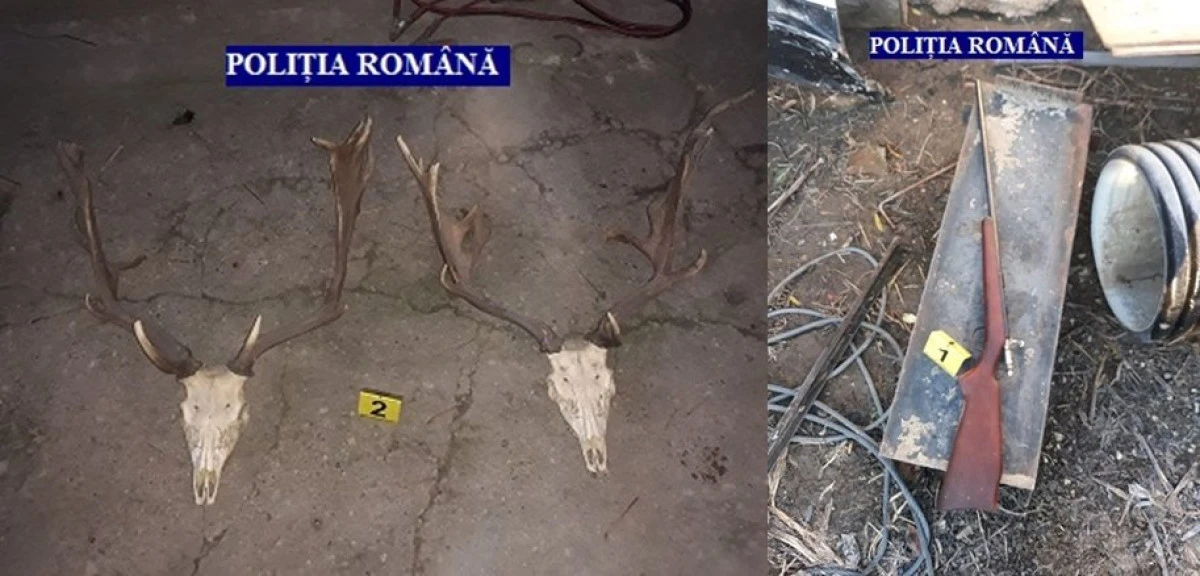 Percheziții domiciliare în mai multe localități din județ. Trei persoane au fost reținute pentru 24 de ore