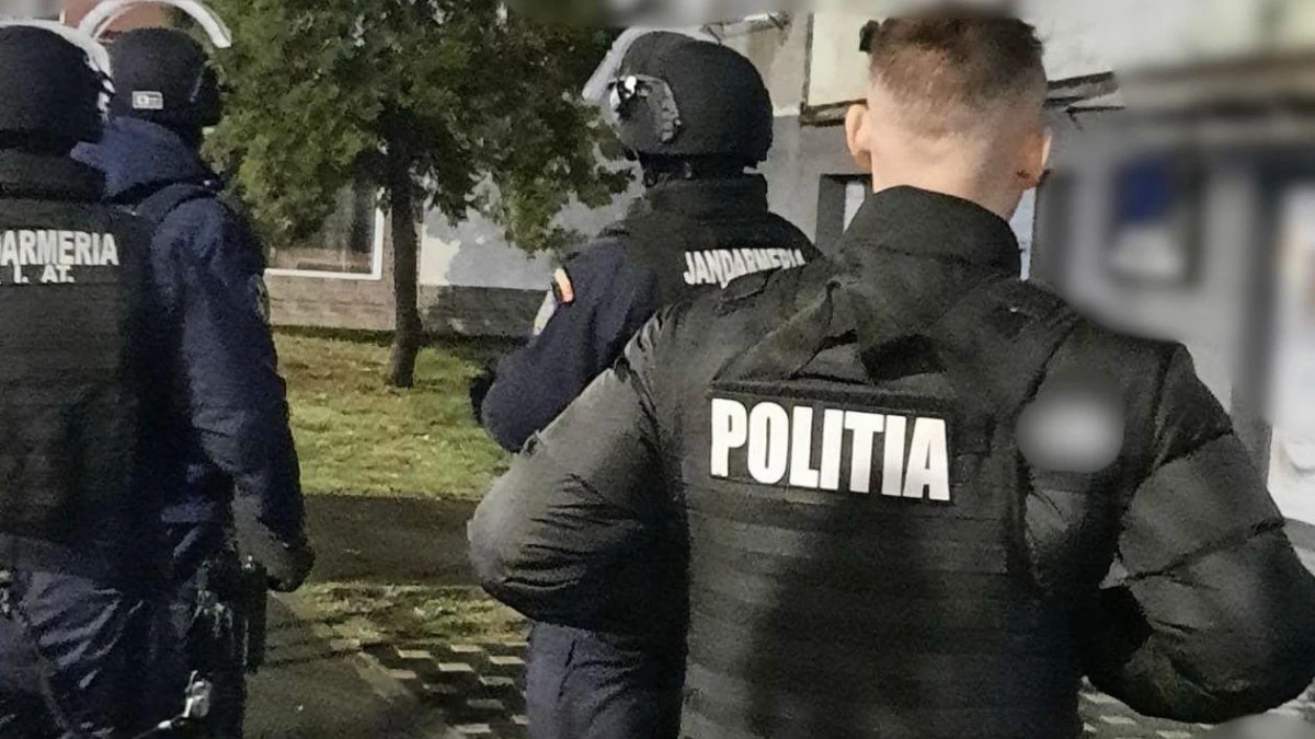 Percheziții în Arad. Polițiștii au găsit o armă, cartușe și produse posibil contrafăcute