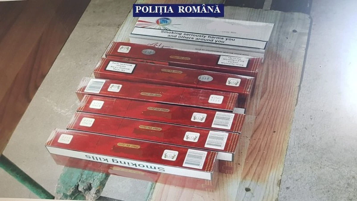 Percheziții în Sântana, la doi traficanți de țigări