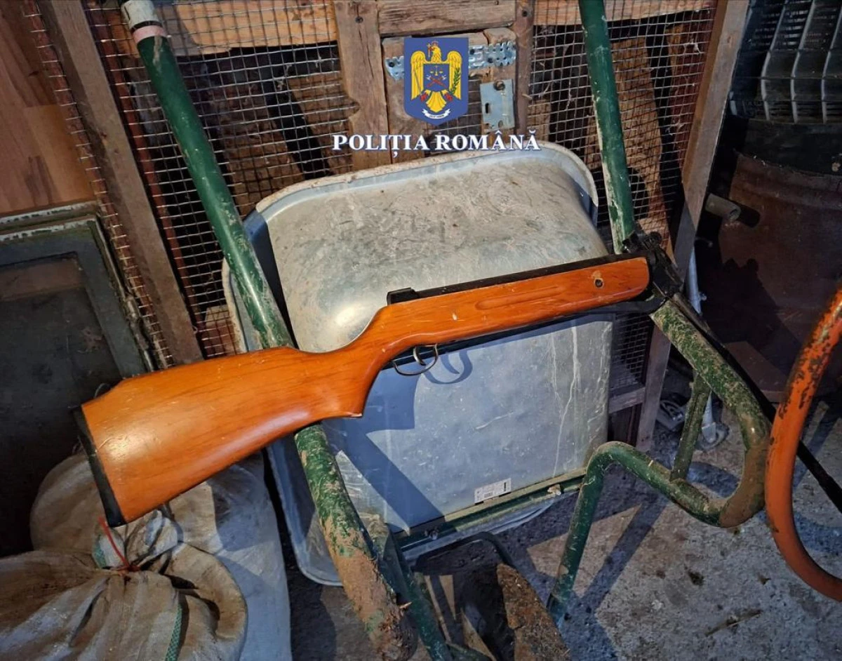 Percheziții în Șepreuș: Polițiștii au găsit țigări de contrabandă și o armă,  în casa unui tânăr de 20 de ani