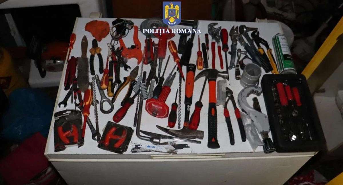 Percheziții în Vladimirescu și Sâmbăteni, la o grupare de hoți specializați în furturi din autoturisme