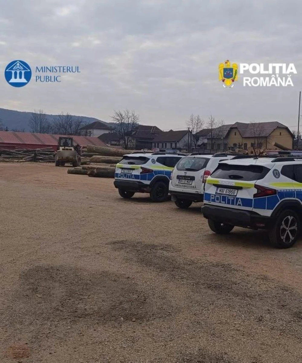 Percheziții la un depozit de lemn din Gurahonț. Polițiștii au indisponibilizat marfă de 125.000 de lei