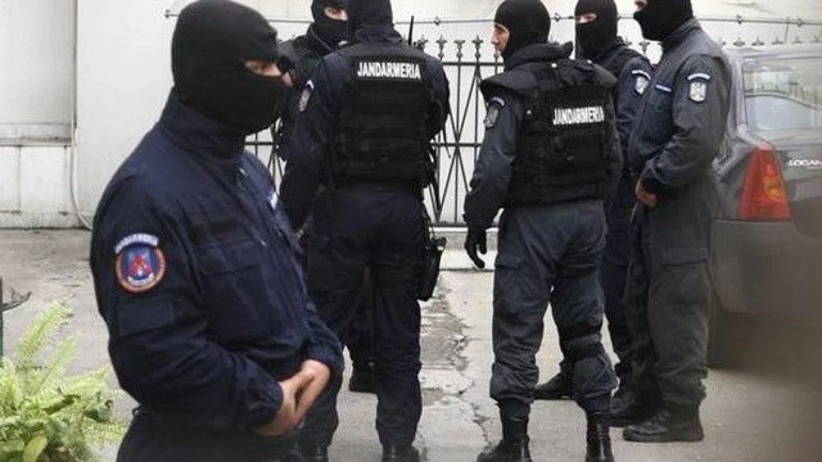 Percheziții la un ocol silvic din municipiul Arad. 11 persoane au fost duse la audieri