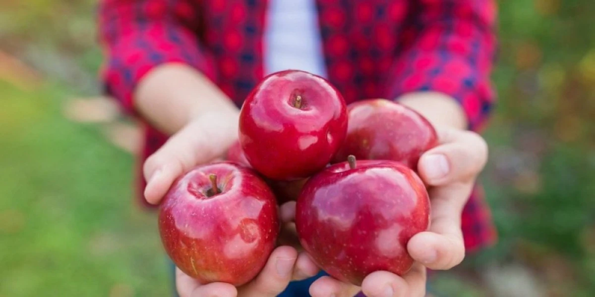 Pericolul ascuns în fructele perfecte