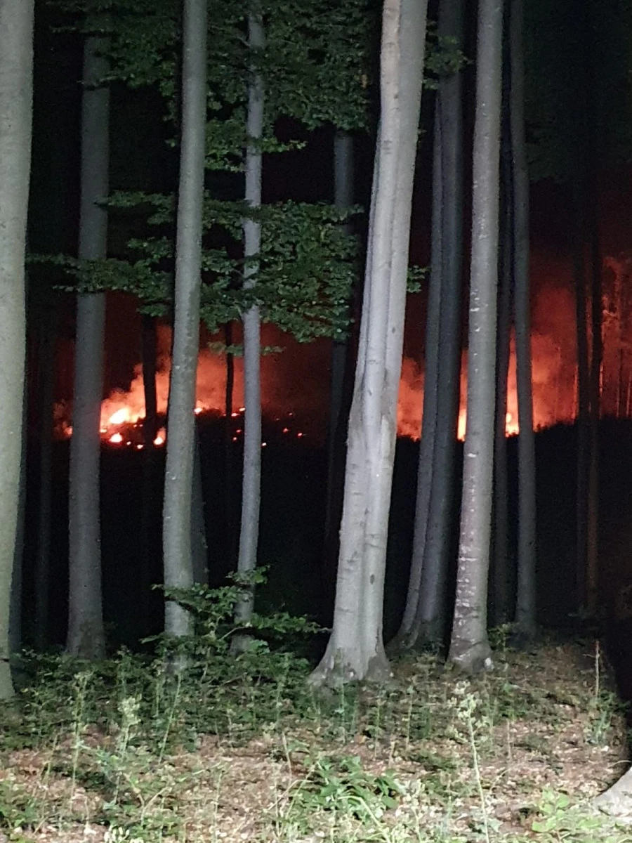 Peste 120 de intervenții ale pompierilor în weekend, iar la Slatina de Mureș au ars aproape cinci hectare de pădure