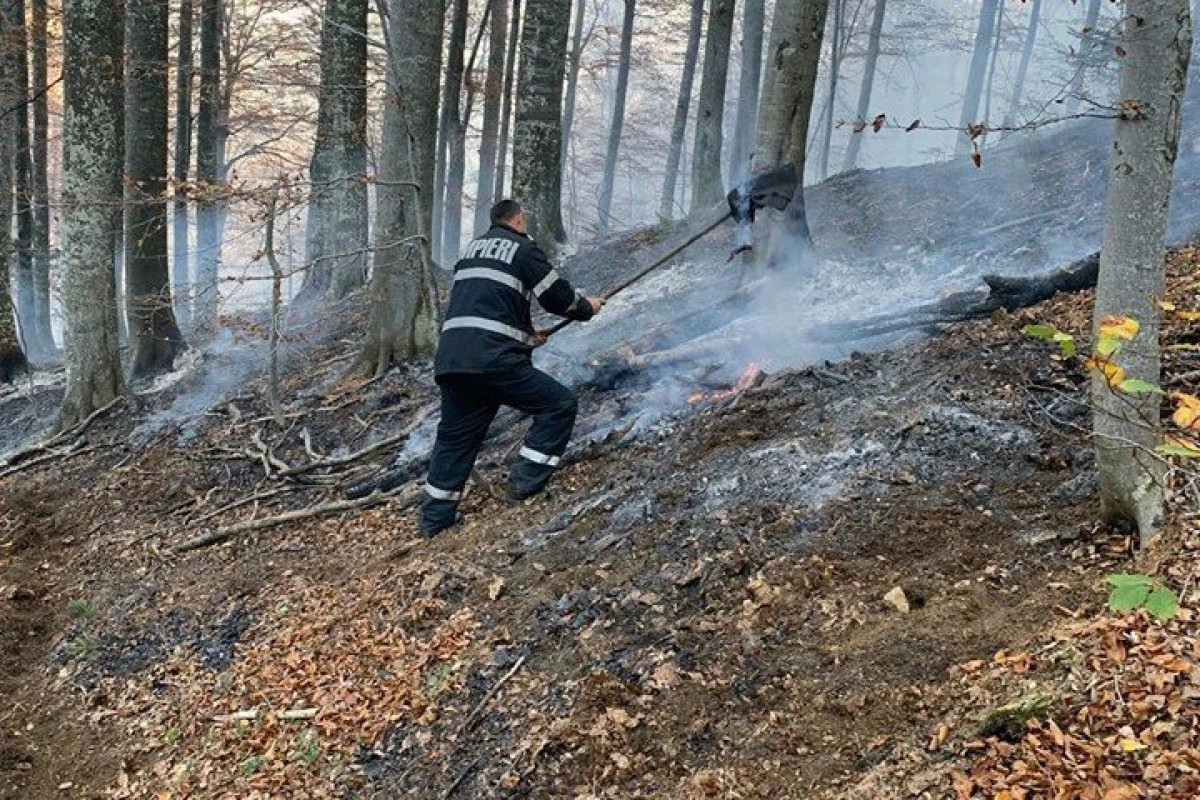 Peste 120 de persoane continuă intervenţia la incendiul de pădure din Cornereva