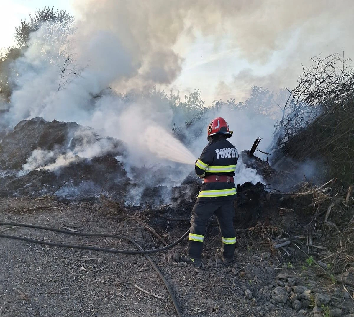 Peste 1200 de intervenții ale pompierilor arădeni, în luna aprilie