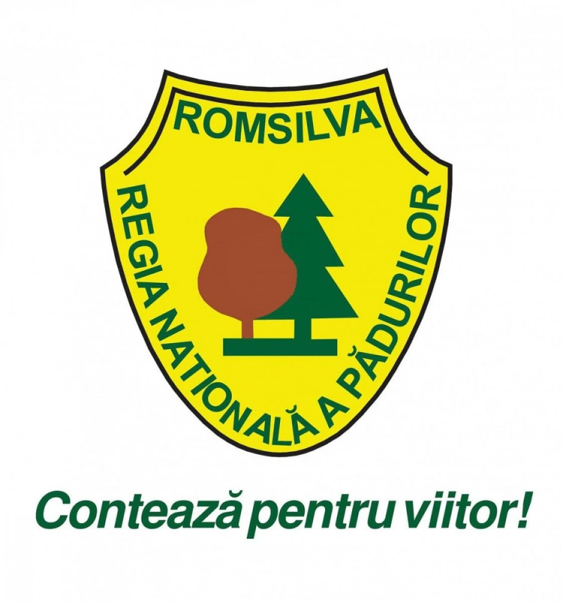 Peste 13 milioane de puieți forestieri plantați de specialiștii Romsilva pe perioada stării de urgență