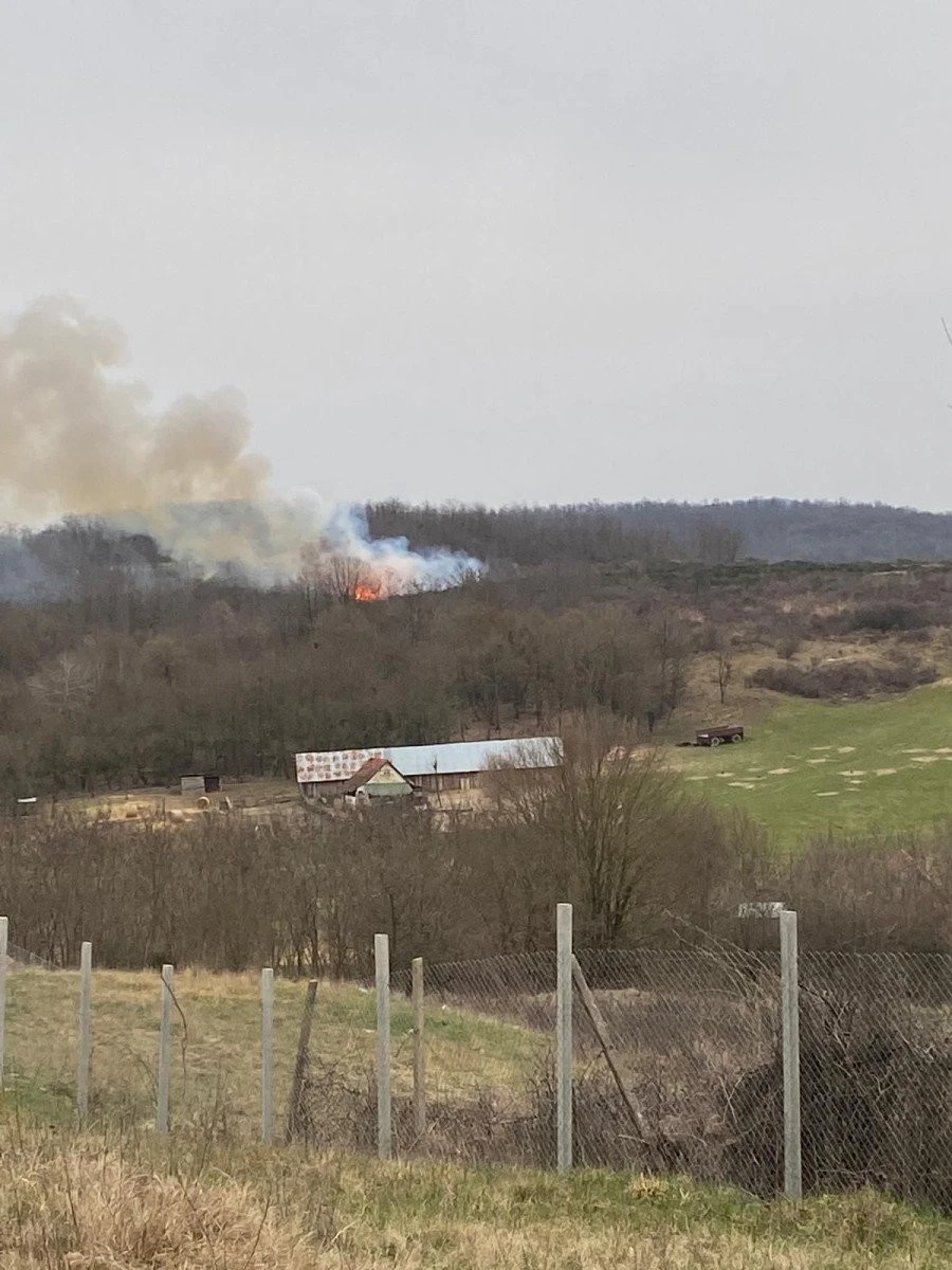 Peste 135 de misiuni ale pompierilor militari arădeni de la începutul acestei săptămâni