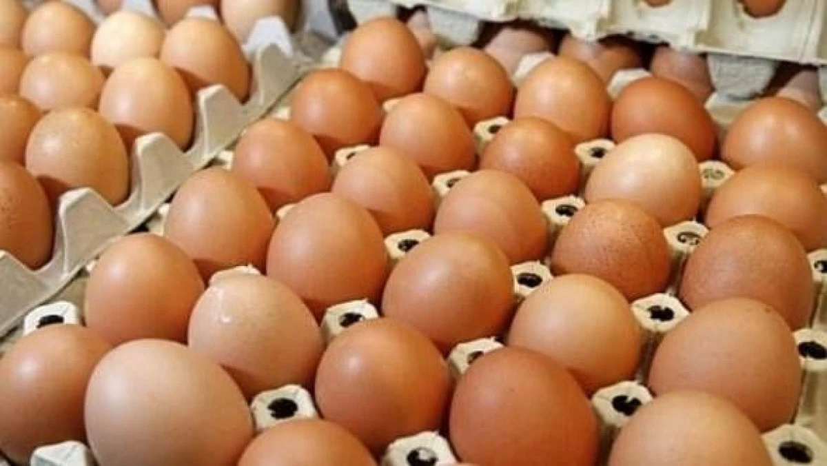 PESTE 4300 DE OUA SI 560 DE KILOGRAME DE FRUCTE, CONFISCATE DE POLITISTI
