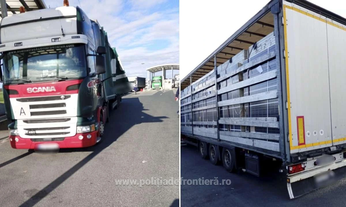 Peste 45 de tone de deşeuri, constând în panouri fotovoltaice, oprite la Nădlac II