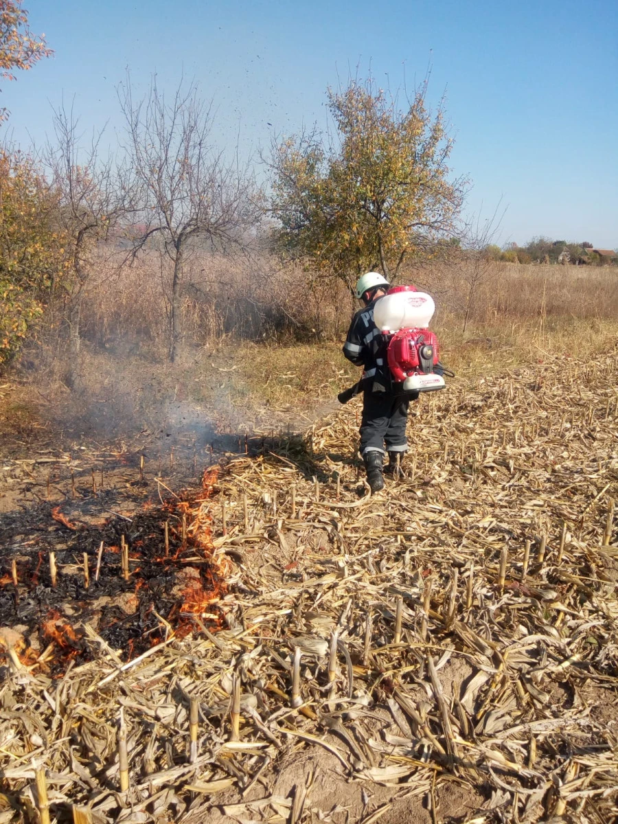 Peste 50 de incendii de vegetație uscată, stinse de pompierii arădeni în ultimele două luni