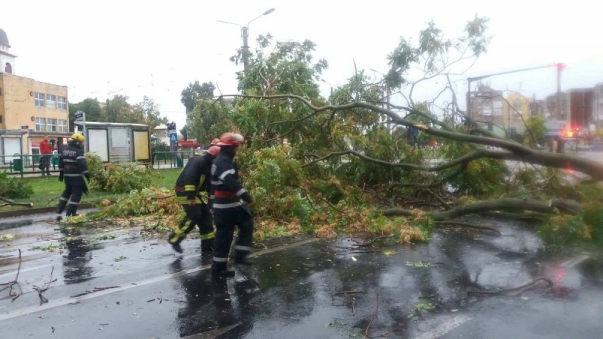 Peste 80 de intervenții ale ISU Arad, în urma furtunii de duminică