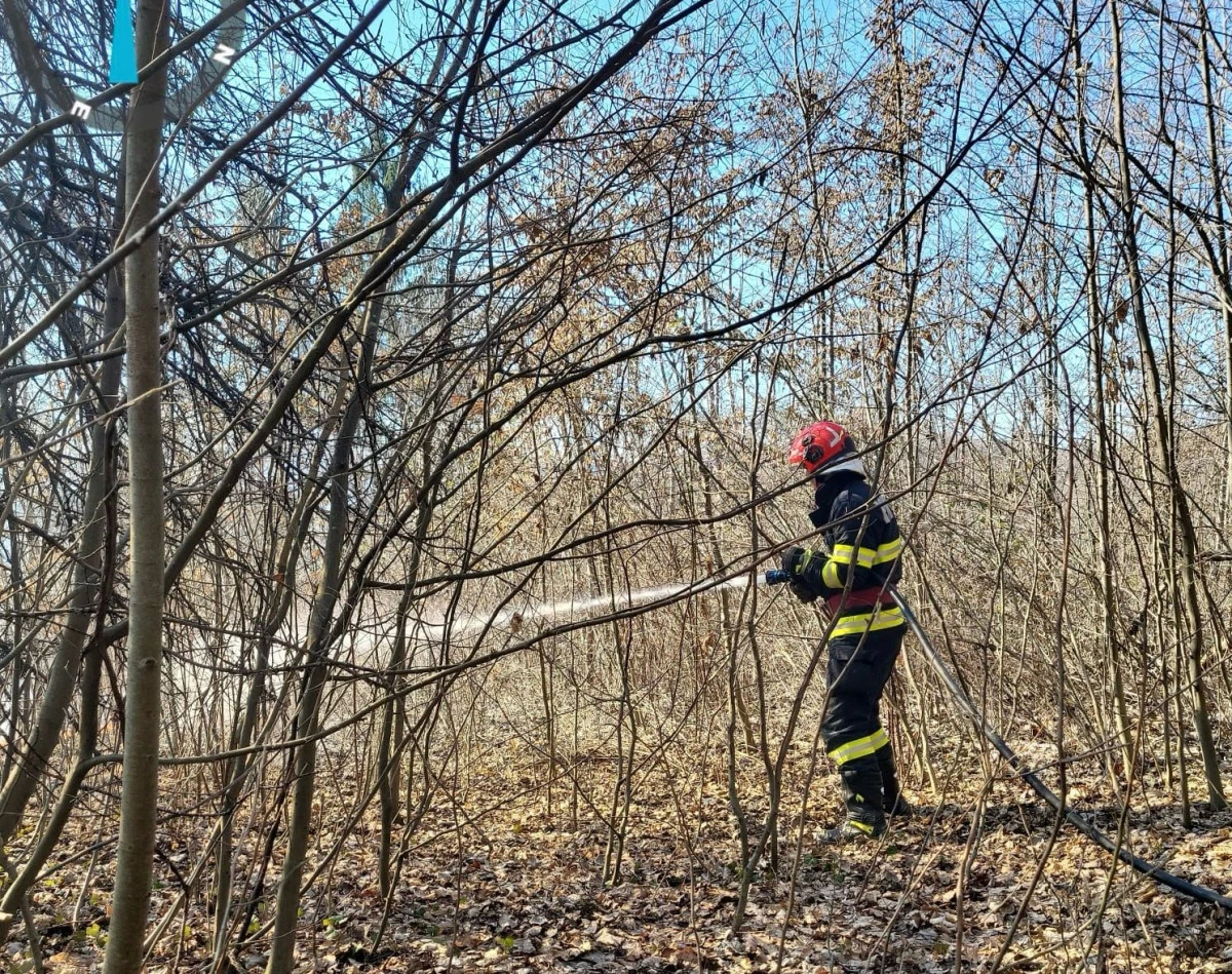 Peste o sută de intervenții ale pompierilor arădeni, în minivacanța de 1 mai
