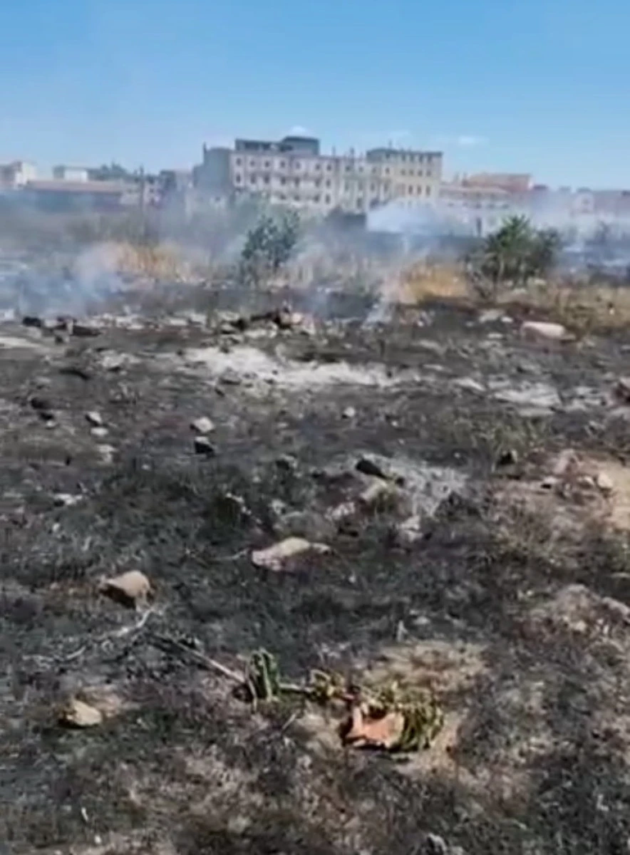 Peste patru hectare de vegetație și gunoaie au ars în zona fostei fabrici Indagrara