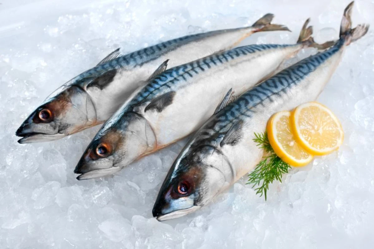 Peștele, sursă de proteine și acizi grași Omega-3