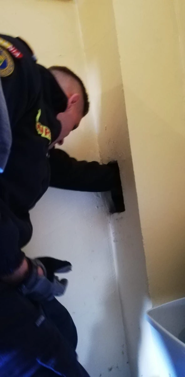 Pisică salvată de pompierii arădeni. De ce? Pentru că pot