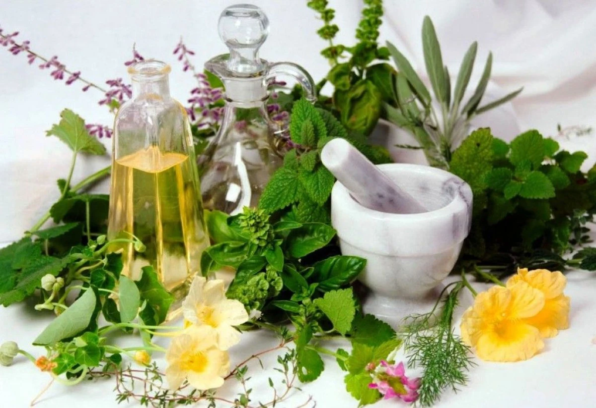 Plante care te pot ajuta să reduci din numărul kilogramelor în plus