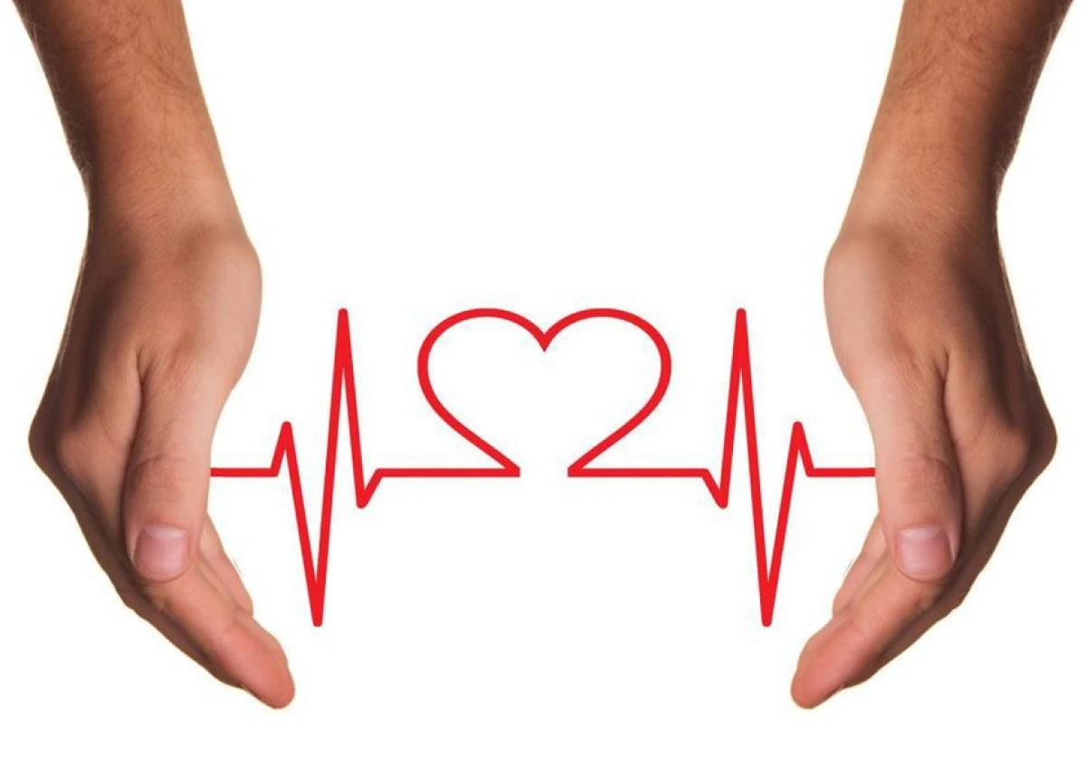 Plante recomandate în scăderea tensiunii arteriale