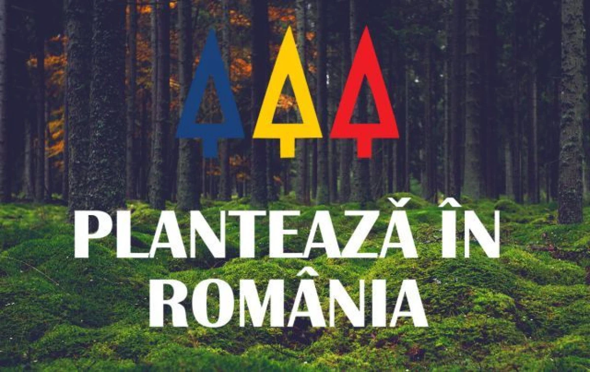 „PLANTEAZA IN ROMANIA“, CEA MAI AMPLA ACTIUNE DE IMPADURIRE DIN ULTIMII ANI
