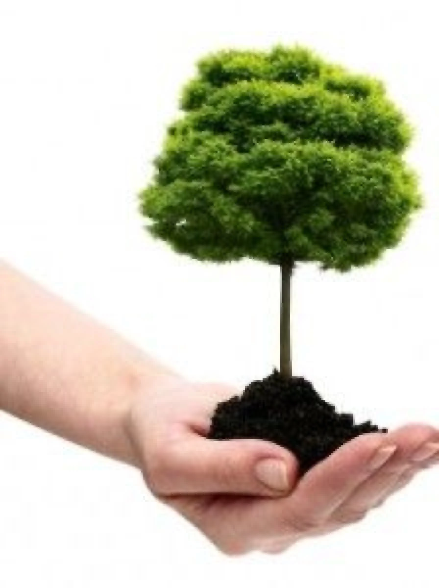"PLANTEAZA PENTRU ROMANIA" - PROIECTUL CARE UNESTE SUTE DE VOLUNTARI