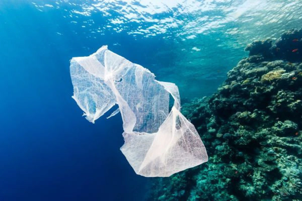 PLASTICUL BIODEGRADABIL PUNE OCEANELE ÎN PERICOL