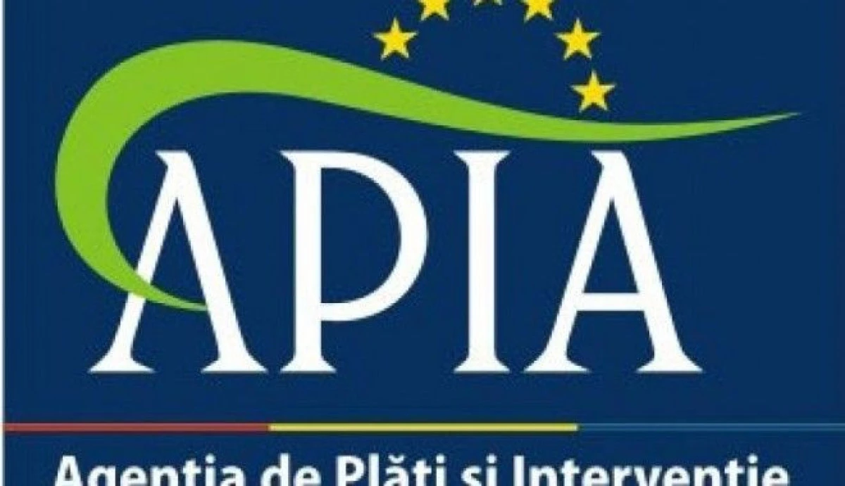 Plăți de aproape 38 de milioane de lei pentru 33 de beneficiari care au solicitat fonduri pentru bunăstarea porcinelor