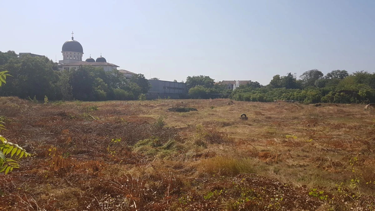 PNL Arad elimină concurența firmelor de casă. Primăria blochează construcția unui complex rezidențial