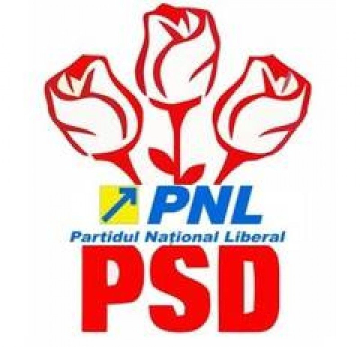 PNL-PSD - o posibilă coaliție pentru guvernare