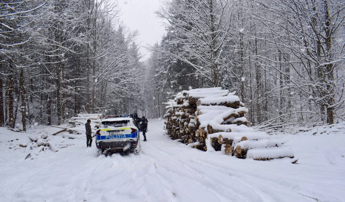 Poliția a demarat controale în pădurile din județul Arad