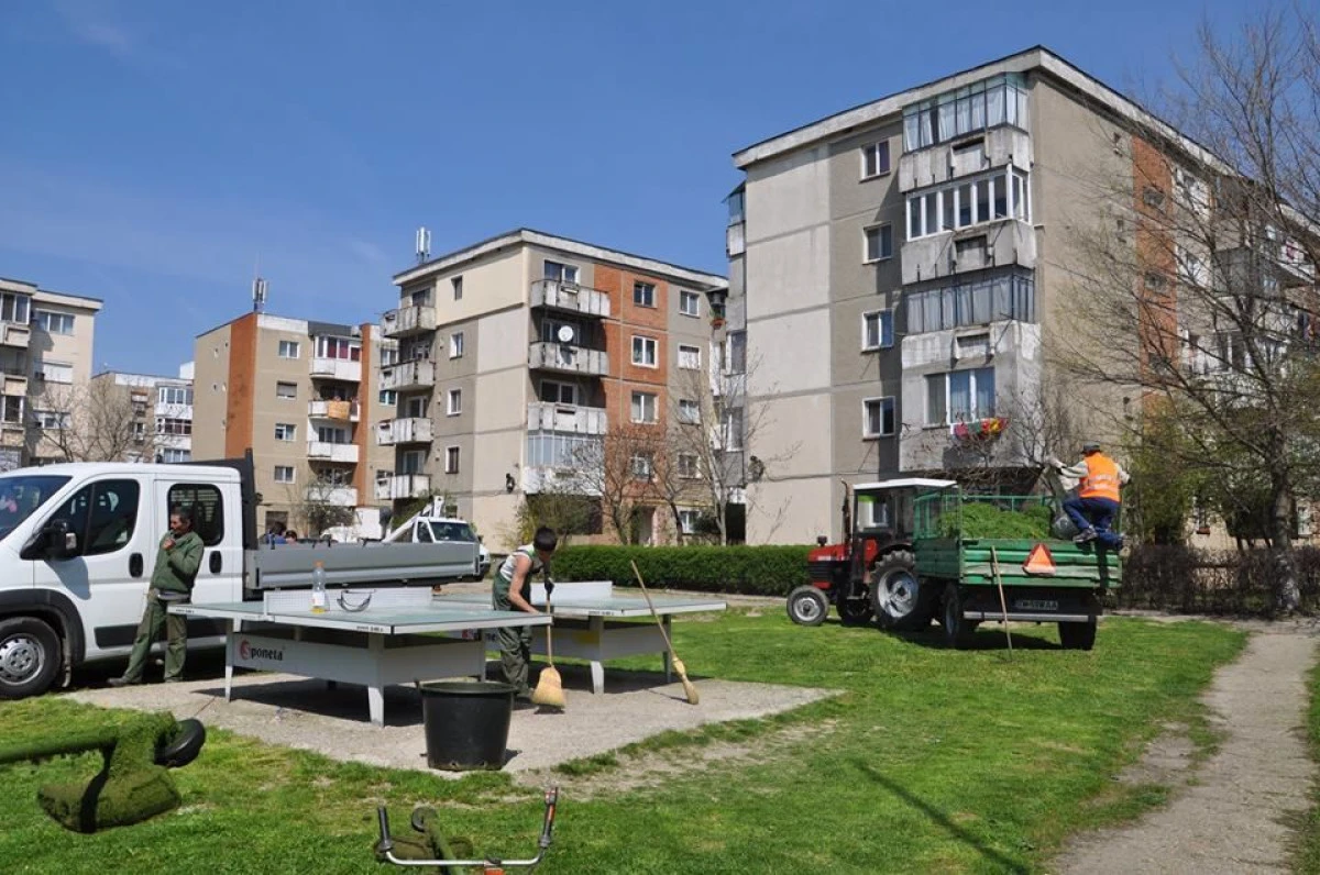 Poliția locală i-a luat în colimator pe arădenii care nu îngrijesc spațiile verzi