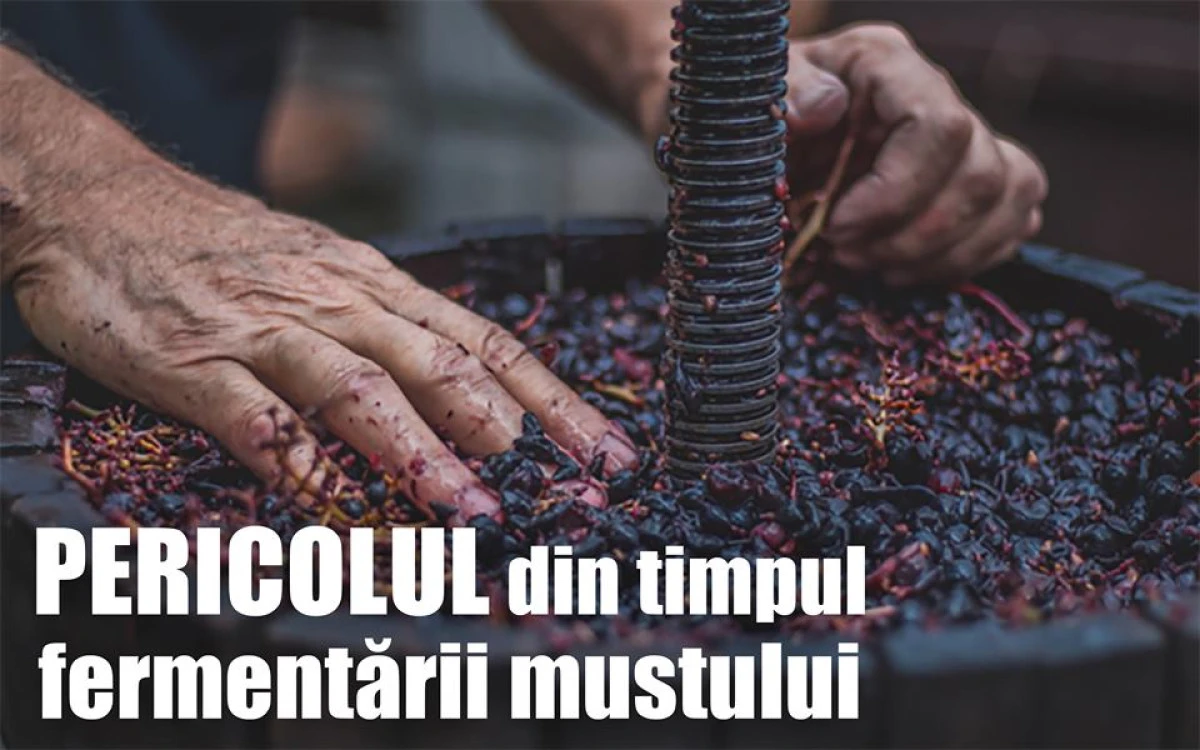 Poliția Română avertizează: Pericolul din timpul fermentării mustului