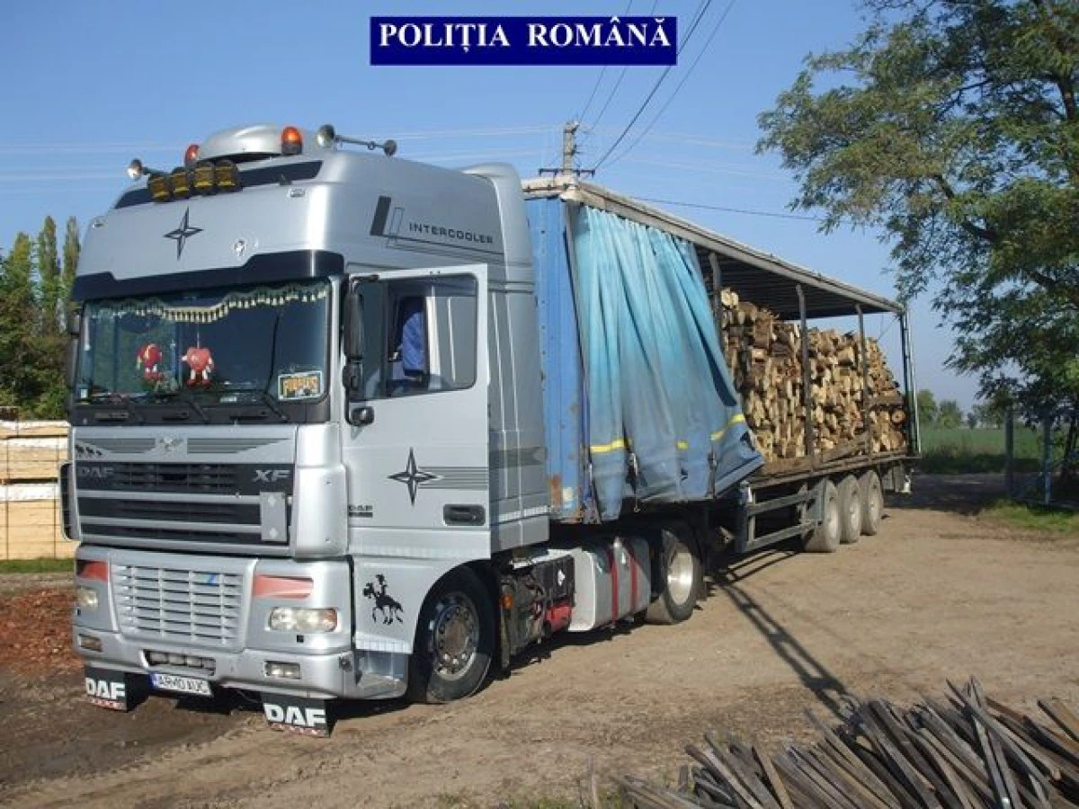Polițiștii arădeni au confiscat sute de metri cubi de material lemn