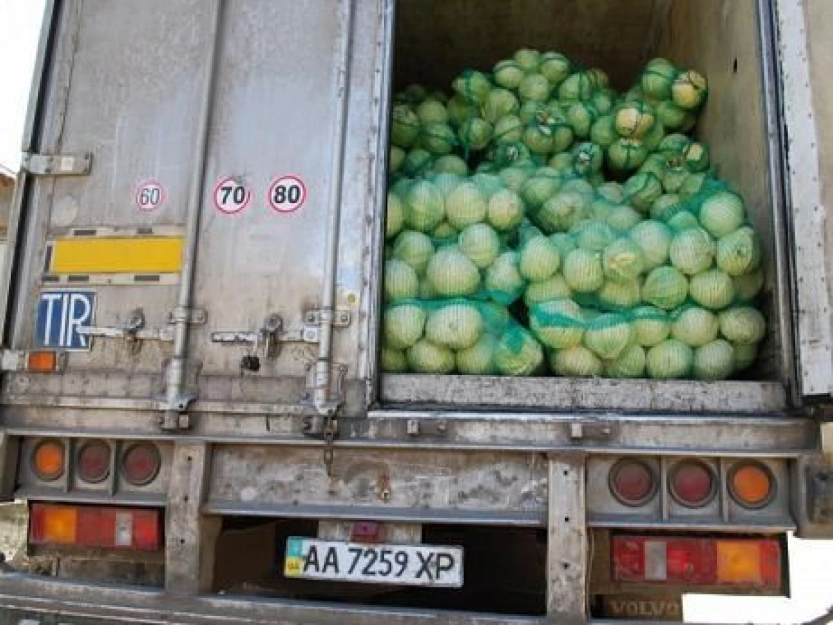 POLITISTII ARADENI AU CONFISCAT TREI TONE DE VARZA