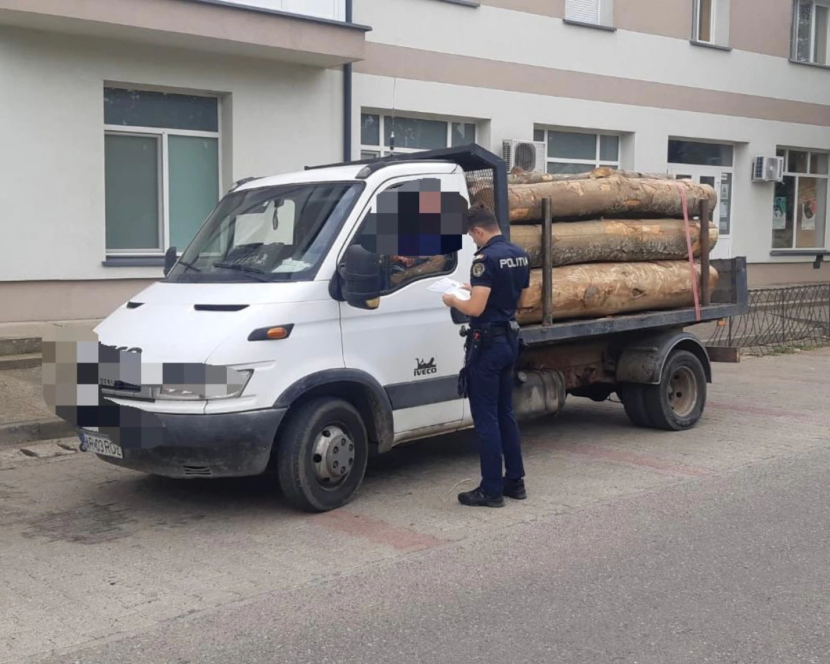 Polițiștii au confiscat 40 de metri cubi de material lemnos, în urma unor controale în județ