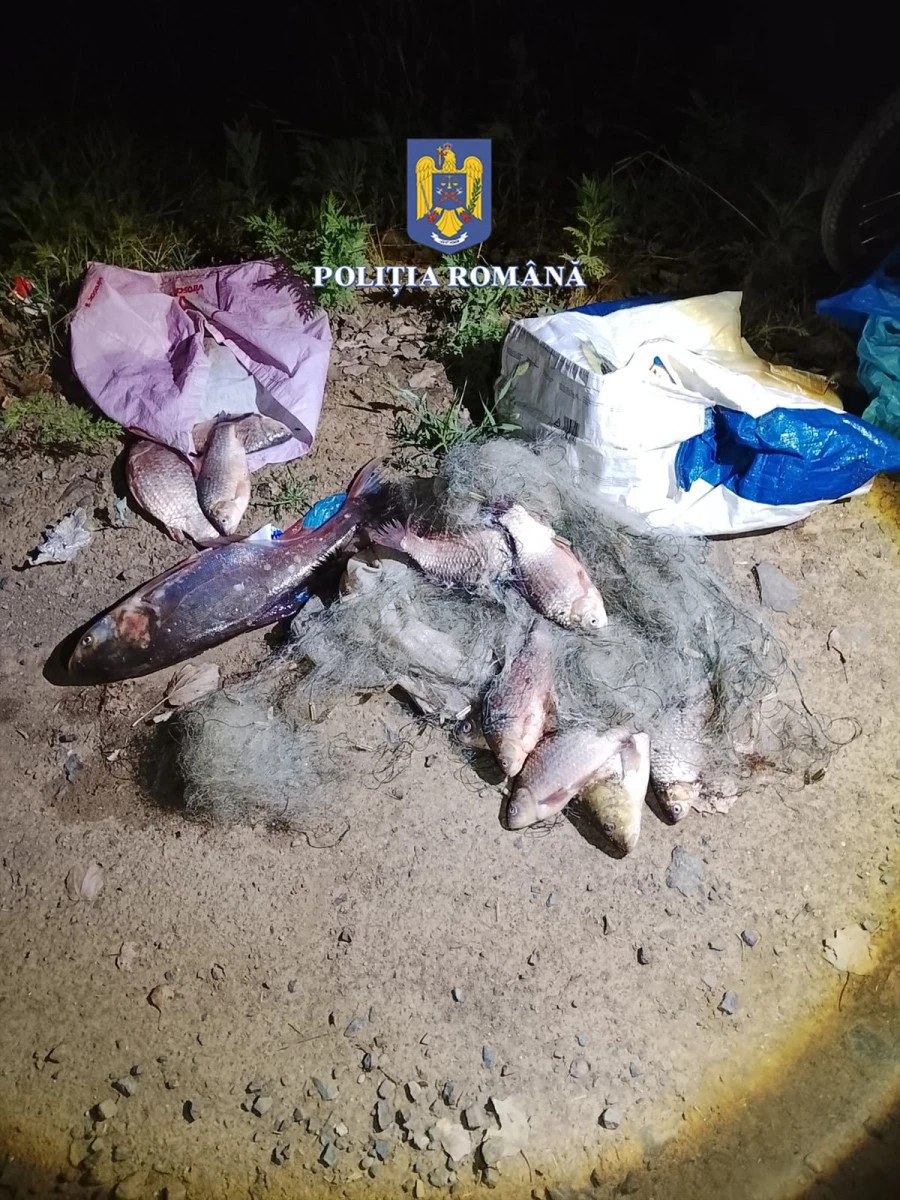 Polițiștii au prins trei bărbați care pescuiau ilegal pe Mureș