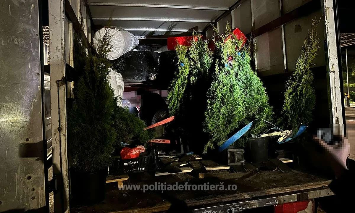 Poliţiştii de frontieră arădeni au depistat 72 de cetăţeni străini, ascunşi în două mijloace de transport