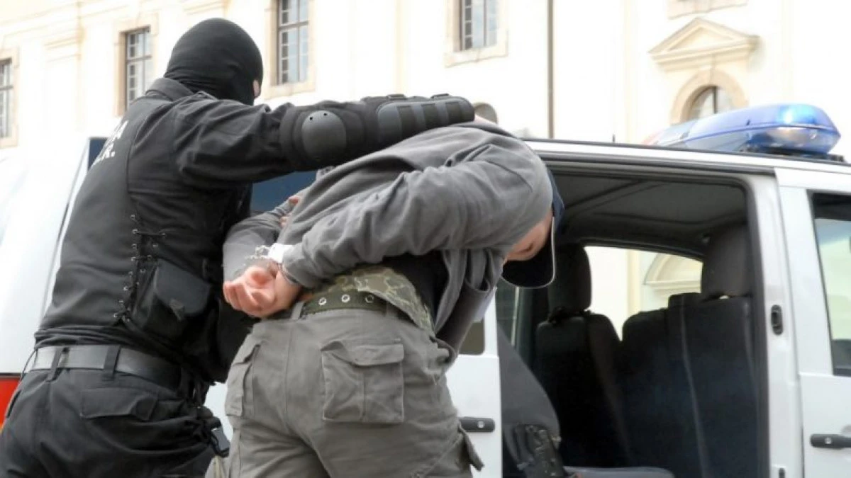 Polițiștii SCCO Arad au reținut un bărbat pentru pornografie infantilă