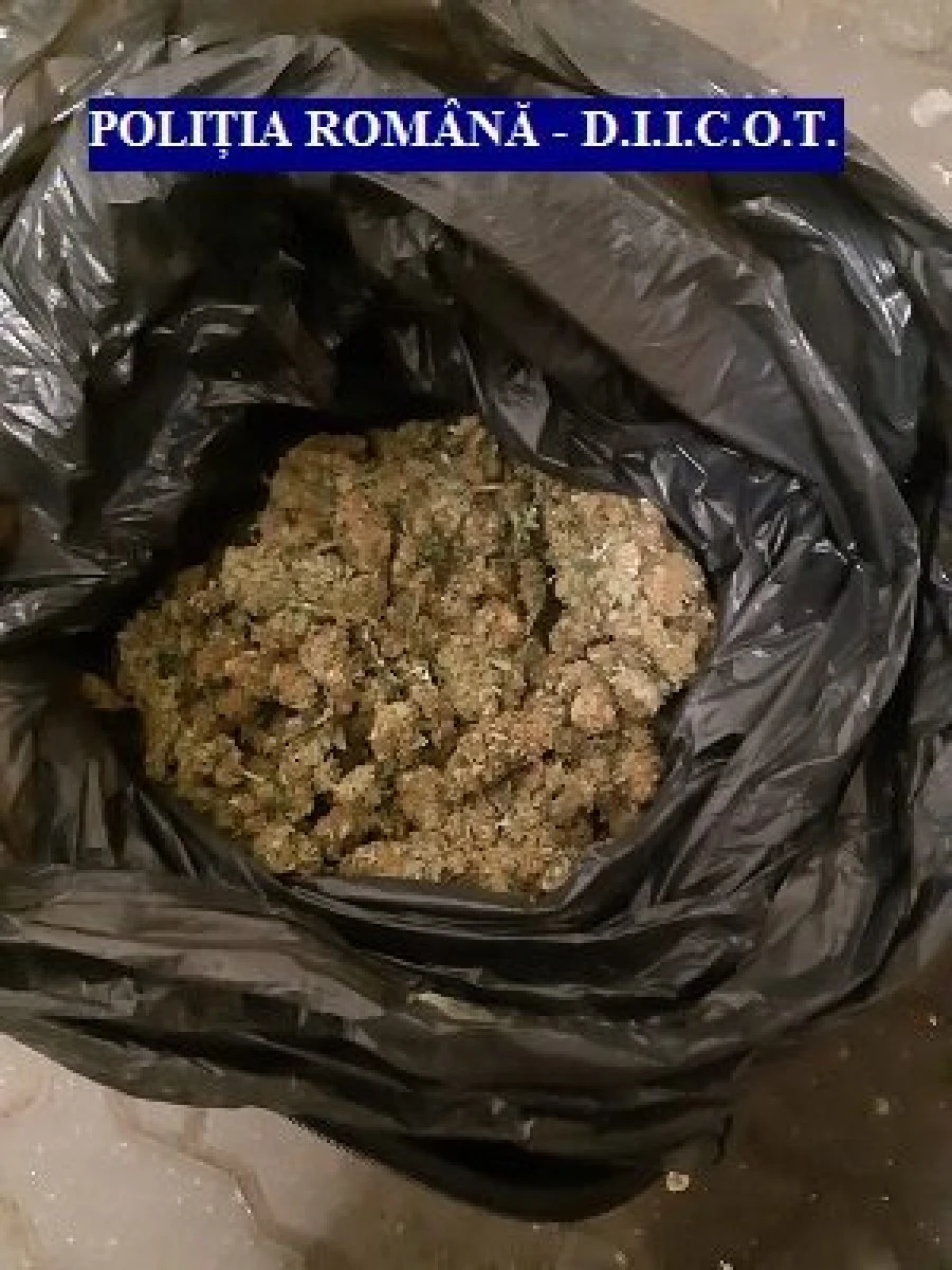 Polițiștii SCCO Arad au „săltat“ trei tineri care comercializau cannabis