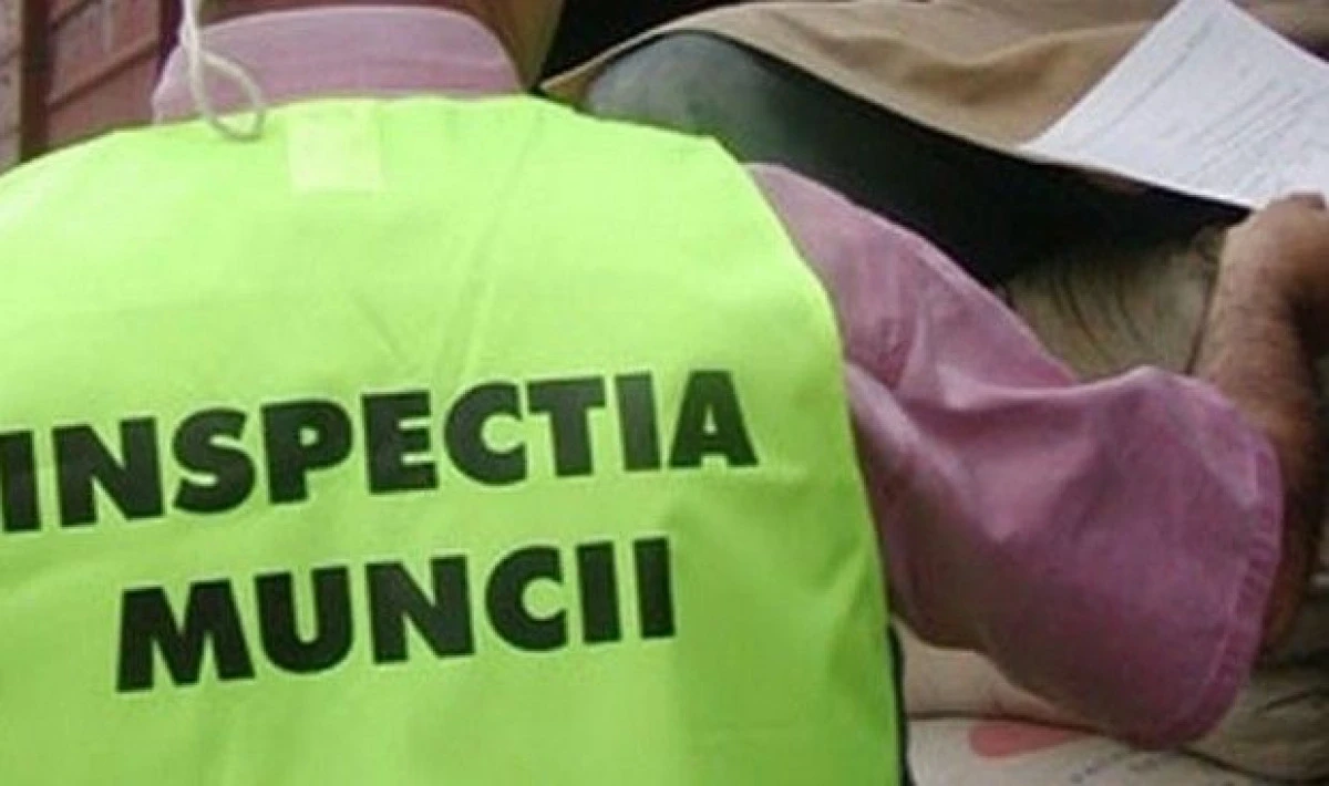 POLITISTII SI INSPECTORII ITM AU DESCOPERIT LA O FABRICA DIN INEU 19 MUNCITORI LA NEGRU
