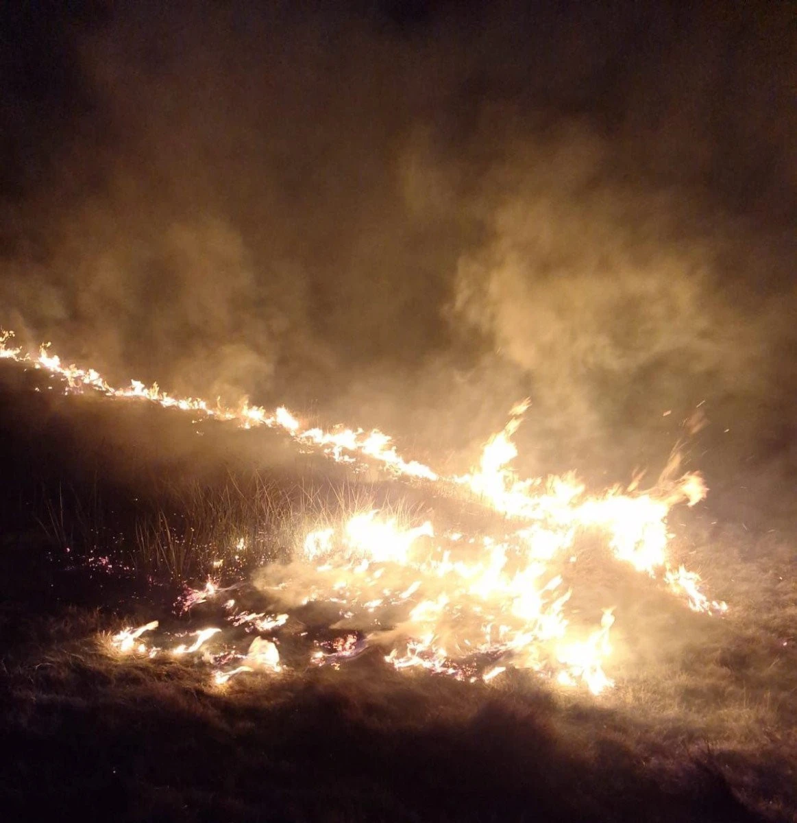 Pompierii arădeni au intervenit în mai multe zone ale județului, pentru a stinge arderile necontrolate ale vegetației uscate