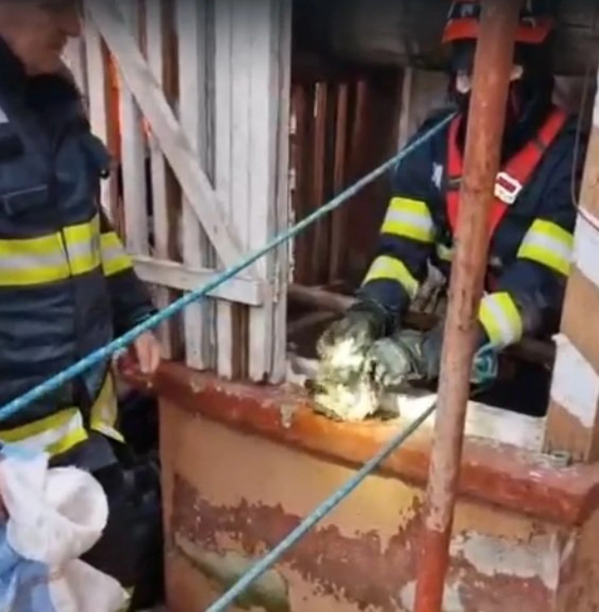Pompierii arădeni au salvat o pisică căzută într-o fântână, pe strada... Pompierilor