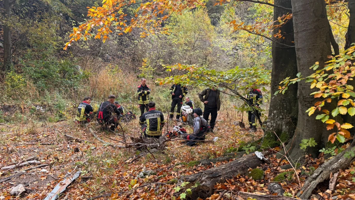 Pompierii arădeni continuă misiunile de stingere a incendiilor din Parcul Național Domogled - Valea Cernei